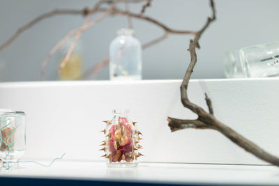 2025 Craft + Design Canberra Daily Creative Challenge Finalists Exhibition Online