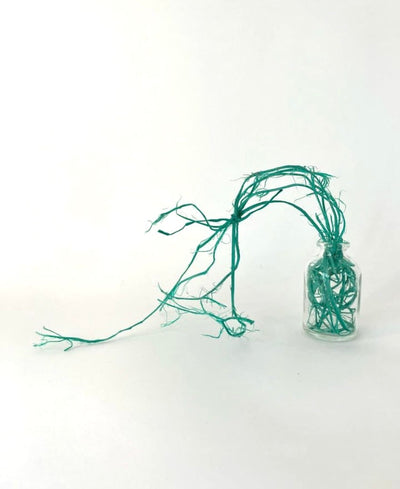 ANNUAL DONATION CAMPAIGN | 2025 CRAFT + DESIGN CANBERRA DAILY CREATIVE CHALLENGE
