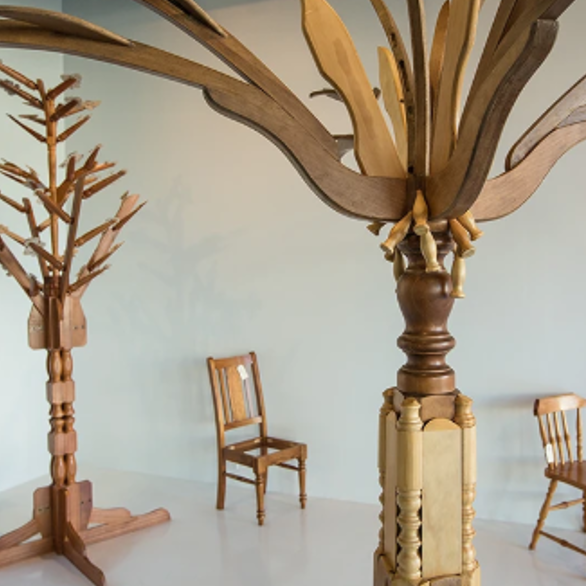 Reforestation – Craft + Design Canberra