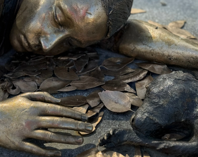 Launch + Artist Talk | Fallen Leaves | Rebecca Selleck