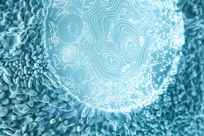 Material Transformations